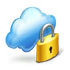 Cisco L-PLGW-25 (L-PLGW-25)