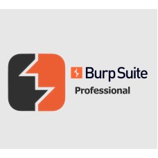 Burp Suite Professional Burp Suite Professional