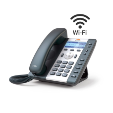 Platan IP-T202W