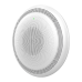 Grandstream GSC3516 SIP/Multicast Talk-Back Speaker